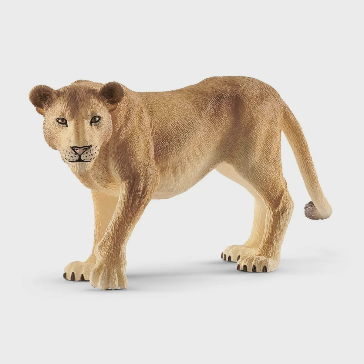 SCHLEICH | LIONESS