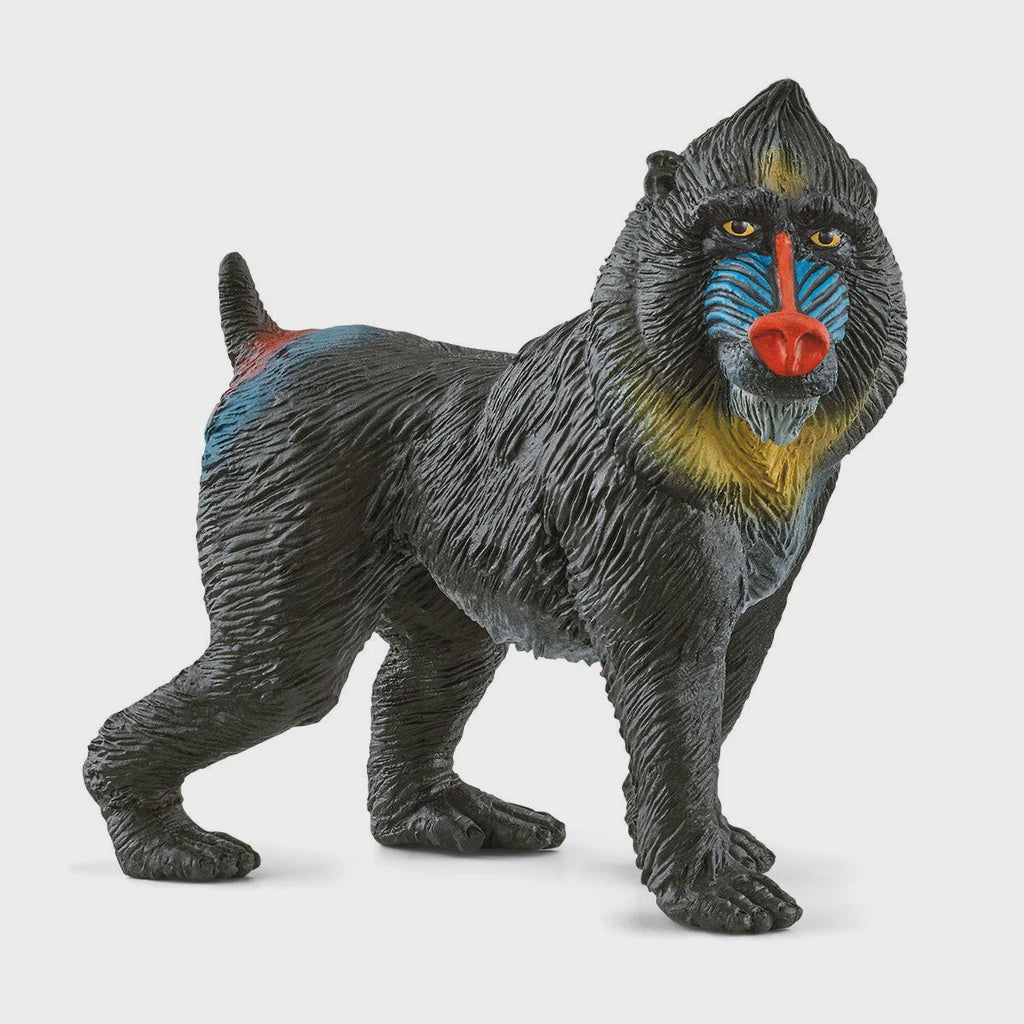 SCHLEICH | MANDRILL