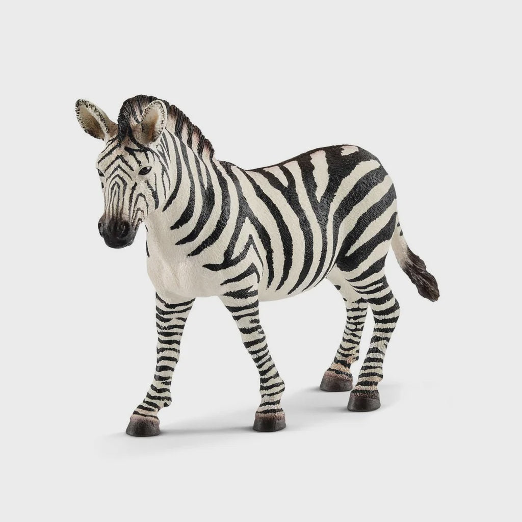 SCHLEICH | ZEBRA FEMALE