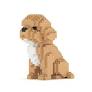 JEKCA COCKAPOO MINI 01S
