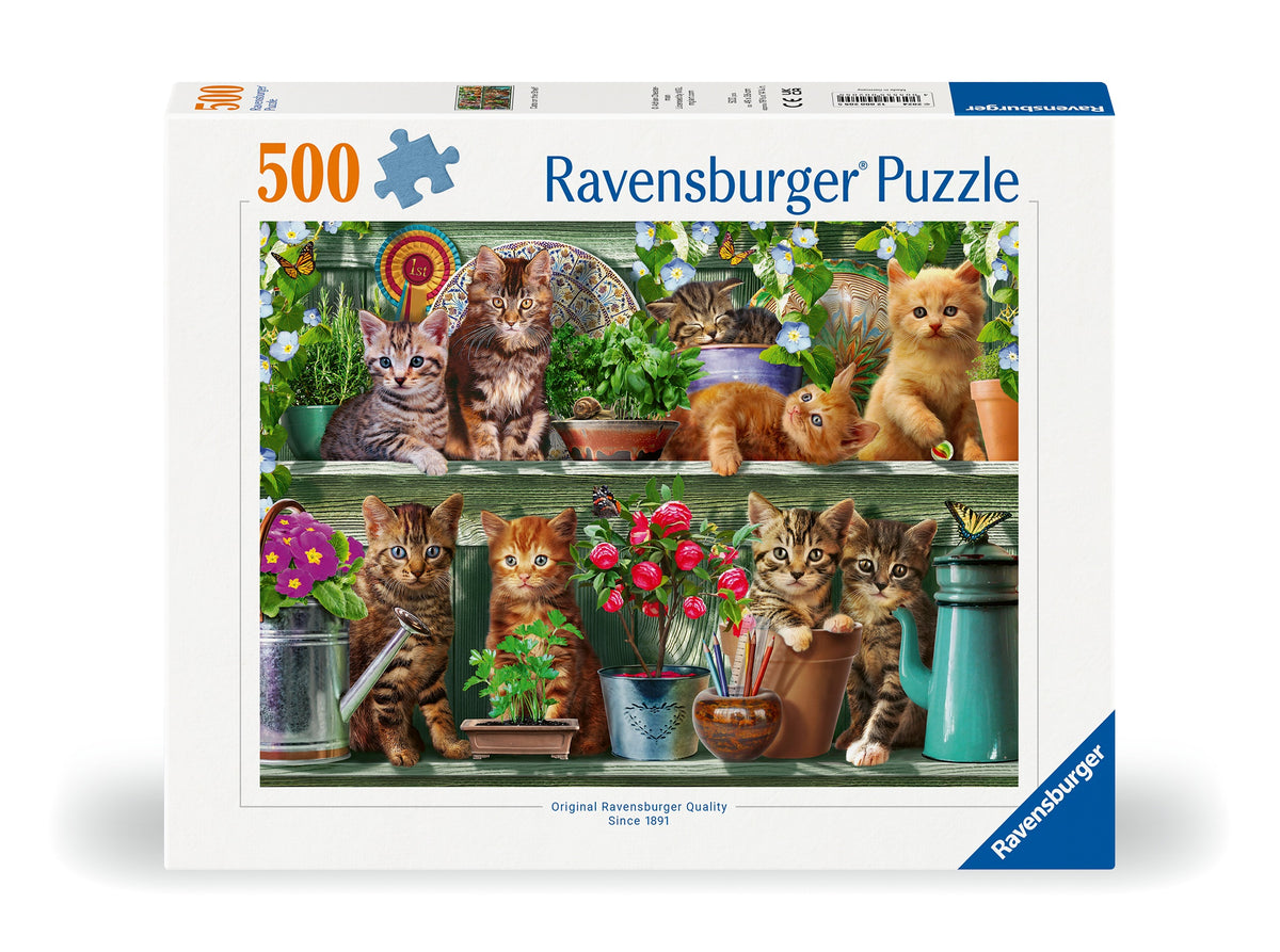 RB 500 PC | CATS ON THE SHELF