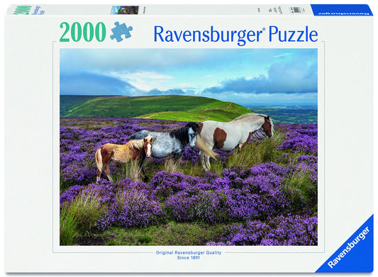 RB 2000 PC | WILD HORSES IN THE HEATHER