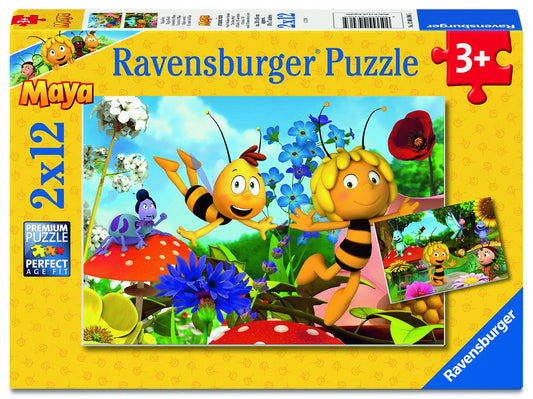 RB (3+) 12PC X 2 | MAYA - MAYA'S WORLD