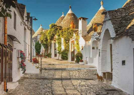 RB 1000 PC ALBEROBELLO IN PUGLIA