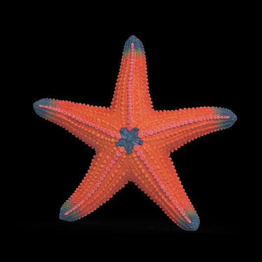 SCHLEICH STARFISH COLOR CHANGE